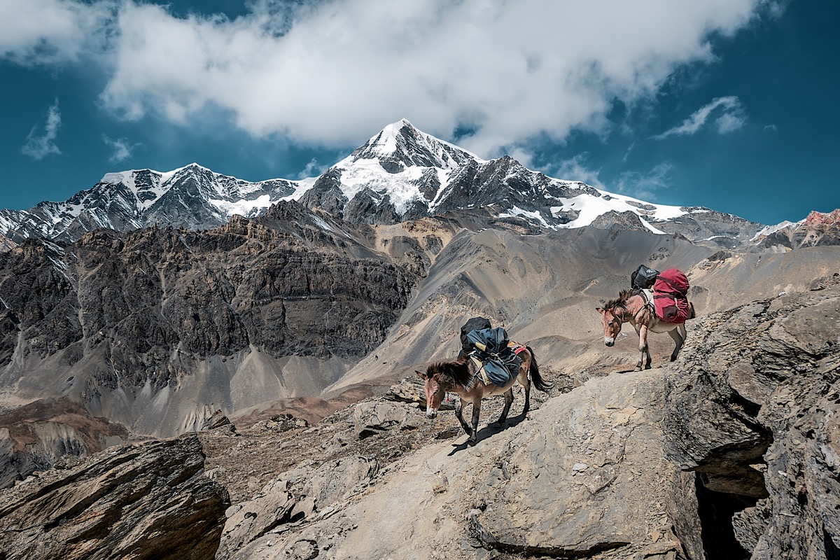 HImalaya, Nepal